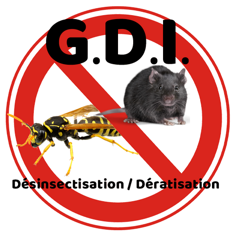 GDI51